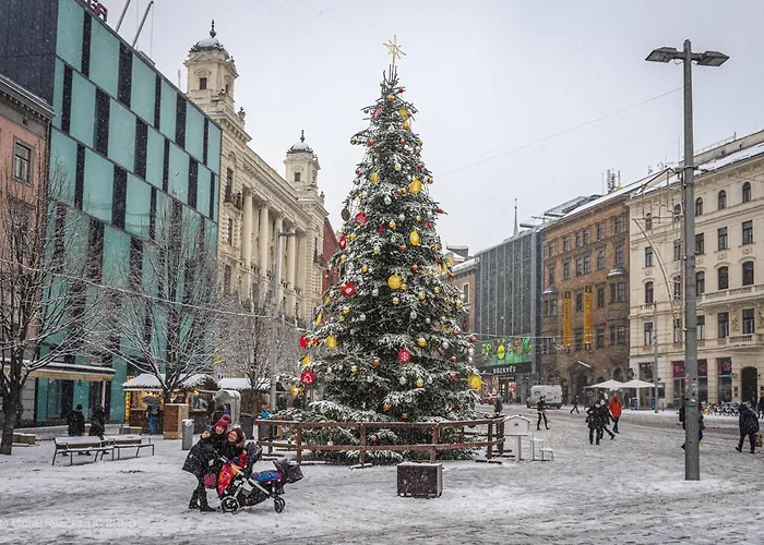 Brno - Apartman V Bohemske Ctvrti Kamenka